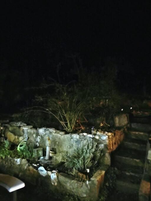 O'Brien'S Oasis Villa Miramonte Dış mekan fotoğraf