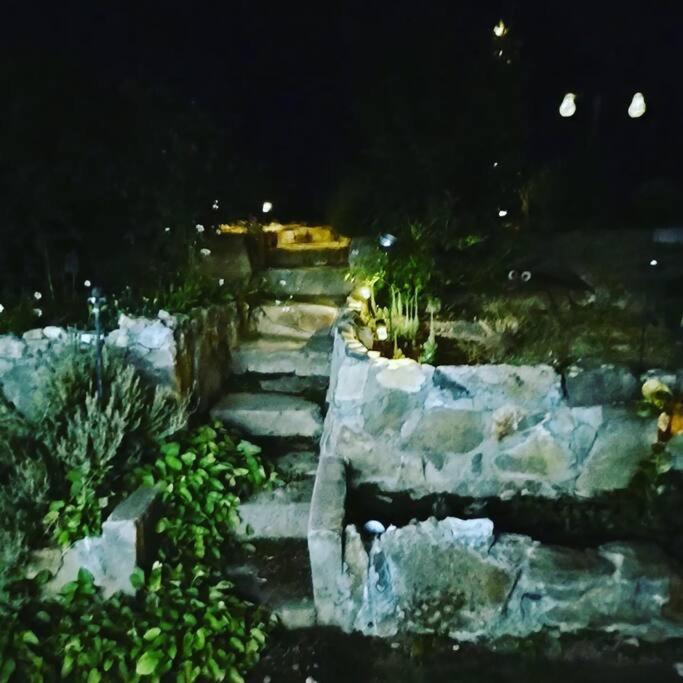 O'Brien'S Oasis Villa Miramonte Dış mekan fotoğraf